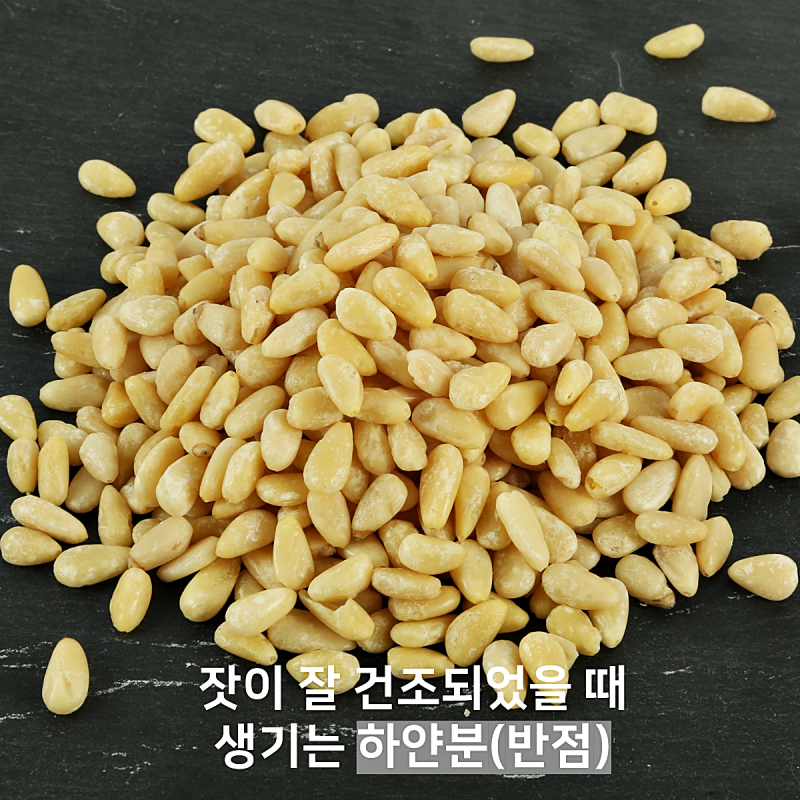 태기산잣,국내산 태기산잣 작은알잣 1kg 황잣 백잣