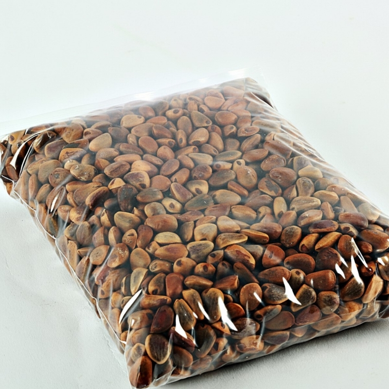 태기산잣,국내산 태기산잣 피잣 1kg