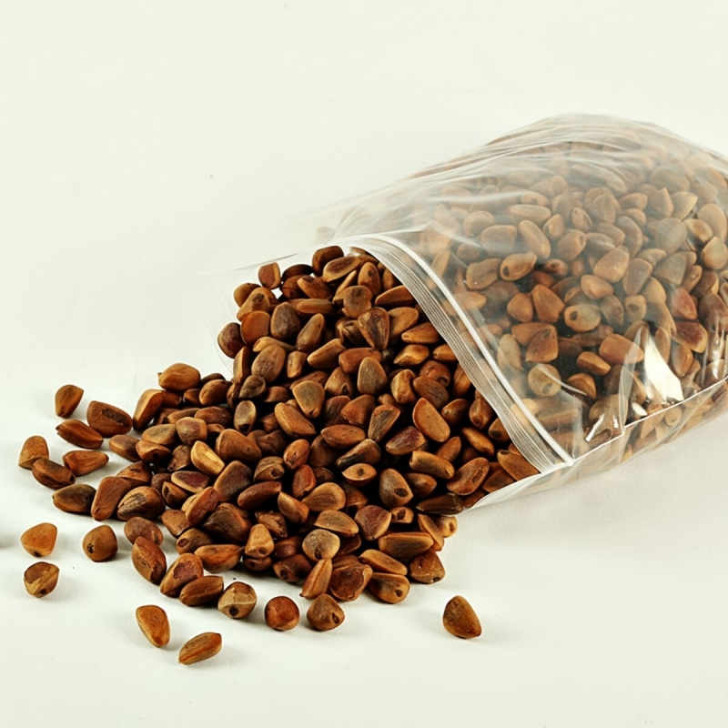 태기산잣,국내산 태기산잣 피잣 1kg