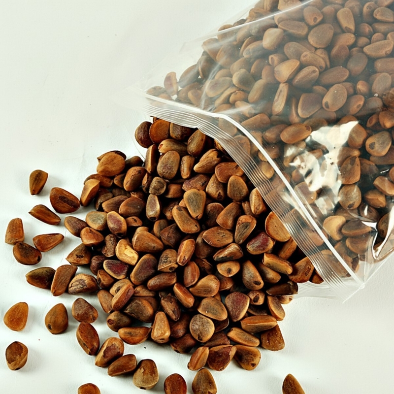 태기산잣,국내산 태기산잣 피잣 1kg